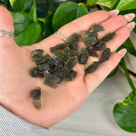 Hand holding a pile of small, rough, translucent green Moldavite pieces.
