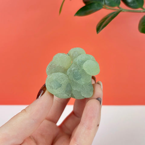 Hand holding a cluster of pale green botryoidal prehnite and epidote with a bubbly, textured surface.