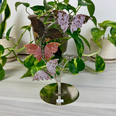 Ocean Jasper Butterfly Flock A 1 - Kenna's Crystals from TikTok