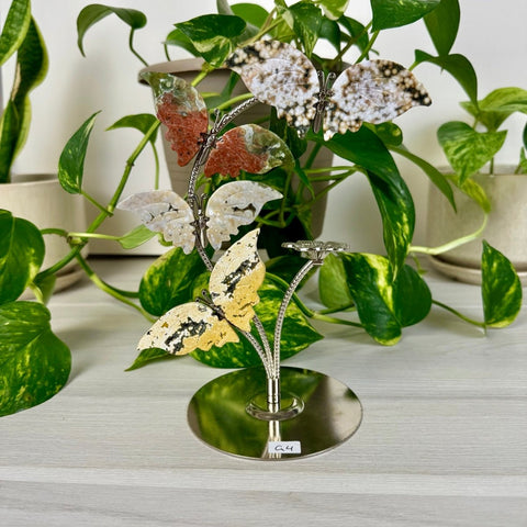 Ocean Jasper Butterfly Flock G4 85 - Kenna's Crystals from TikTok