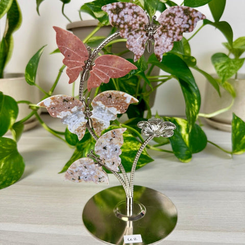 Ocean Jasper Butterfly Flock U2 47 - Kenna's Crystals from TikTok