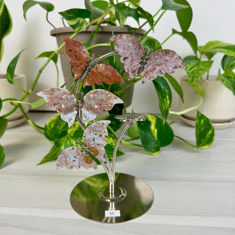 Ocean Jasper Butterfly Flock B 2 - Kenna's Crystals from TikTok