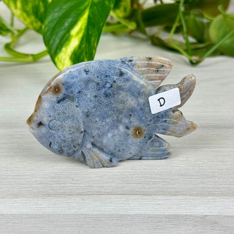 Ocean Jasper Fish Carving - D 1 - Kenna's Crystals from TikTok
