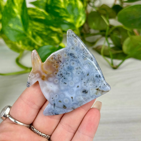 Ocean Jasper Fish Carving - G 2 - Kenna's Crystals from TikTok