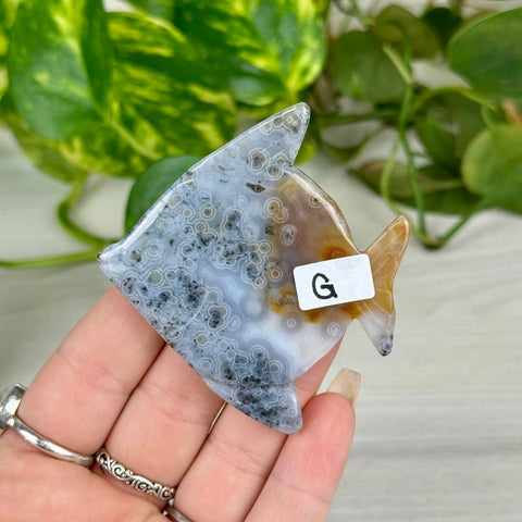 Ocean Jasper Fish Carving - G 1 - Kenna's Crystals from TikTok