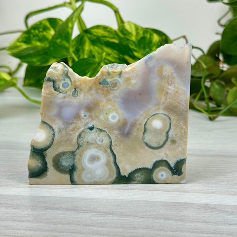 Ocean Jasper Slab 111 6 - Kenna's Crystals from TikTok