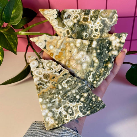 Ocean Jasper Slab 122 6 - Kenna's Crystals from TikTok