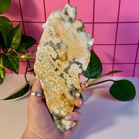 Ocean Jasper Slab 133 7 - Kenna's Crystals from TikTok
