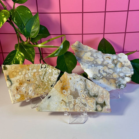 Ocean Jasper Slab 166 9 - Kenna's Crystals from TikTok