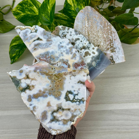 Ocean Jasper Slab 177 3 - Kenna's Crystals from TikTok