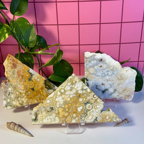 Ocean Jasper Slab 188 11 - Kenna's Crystals from TikTok