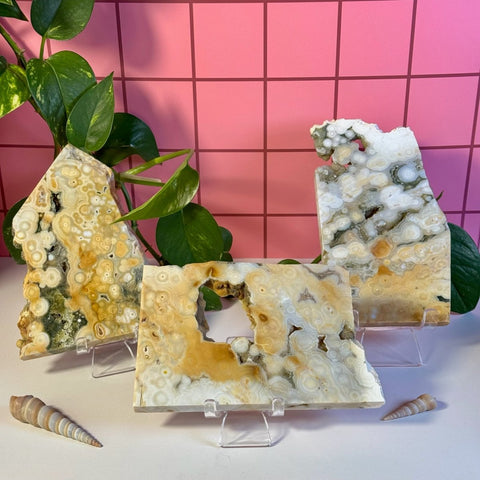 Ocean Jasper Slab 199 12 - Kenna's Crystals from TikTok