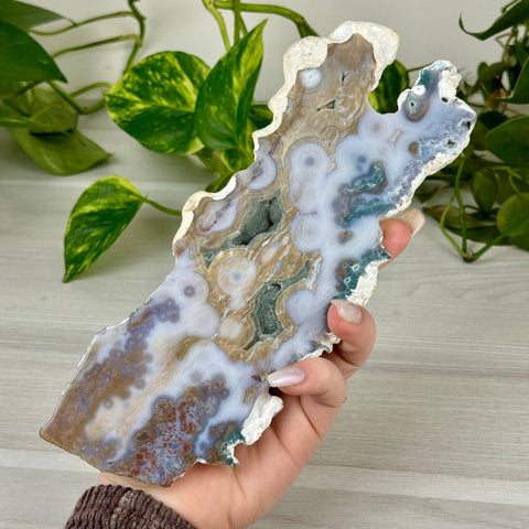 Ocean Jasper Slab 211 2 - Kenna's Crystals from TikTok
