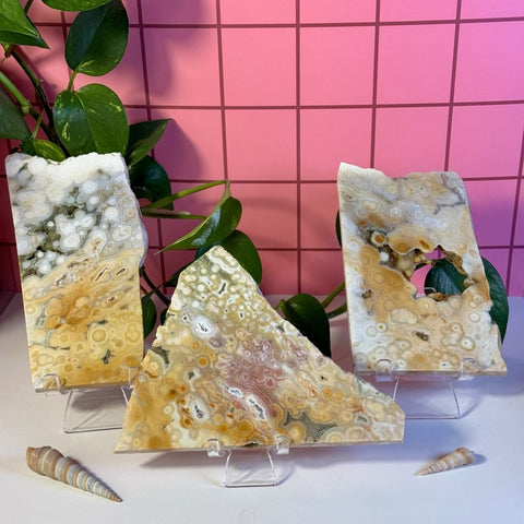 Ocean Jasper Slab 211 13 - Kenna's Crystals from TikTok