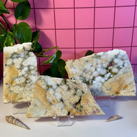 Ocean Jasper Slab 222 14 - Kenna's Crystals from TikTok