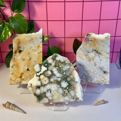Ocean Jasper Slab 244 16 - Kenna's Crystals from TikTok