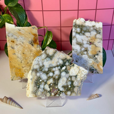 Ocean Jasper Slab 266 18 - Kenna's Crystals from TikTok
