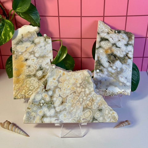 Ocean Jasper Slab 277 19 - Kenna's Crystals from TikTok