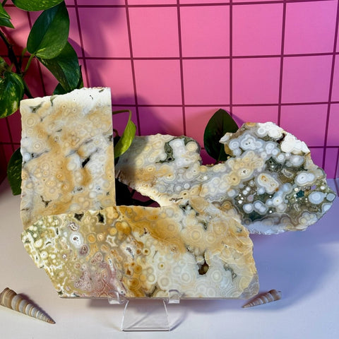 Ocean Jasper Slab 288 20 - Kenna's Crystals from TikTok