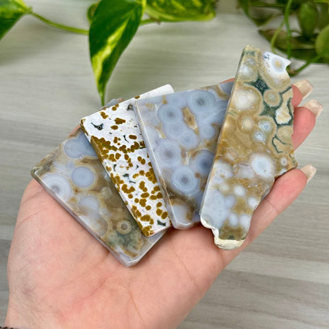 Ocean Jasper Slab 33 12 - Kenna's Crystals from TikTok