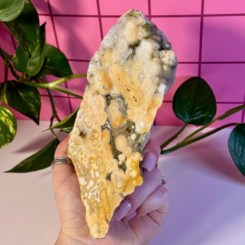 Ocean Jasper Slab 388 24 - Kenna's Crystals from TikTok