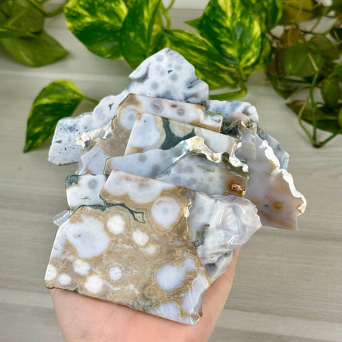 Ocean Jasper Slab 55 10 - Kenna's Crystals from TikTok