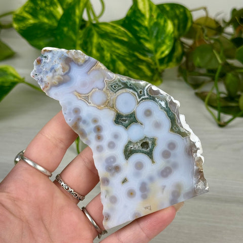 Ocean Jasper Slab 77 8 - Kenna's Crystals from TikTok