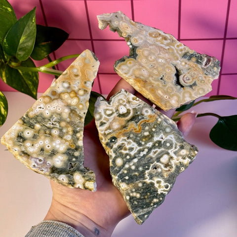 Ocean Jasper Slab 99 4 - Kenna's Crystals from TikTok