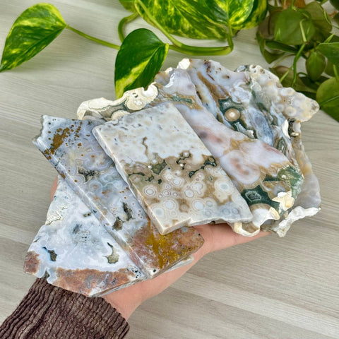 Ocean Jasper Slab 99 7 - Kenna's Crystals from TikTok
