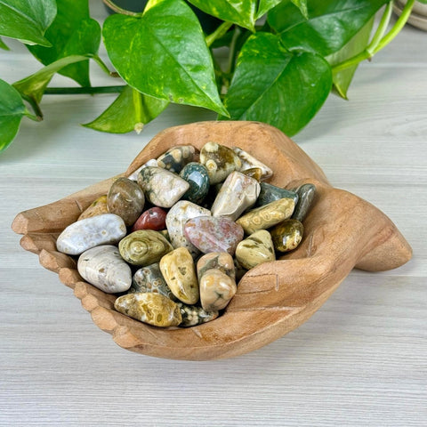 Ocean Jasper Tumble 1 - Kenna's Crystals from TikTok