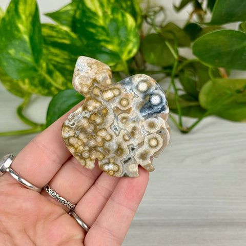 Ocean Jasper Turtle Carving 2 - Kenna's Crystals from TikTok