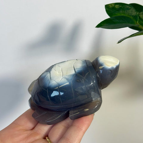 Orca Agate Turtle 111 7 - Kenna's Crystals from TikTok