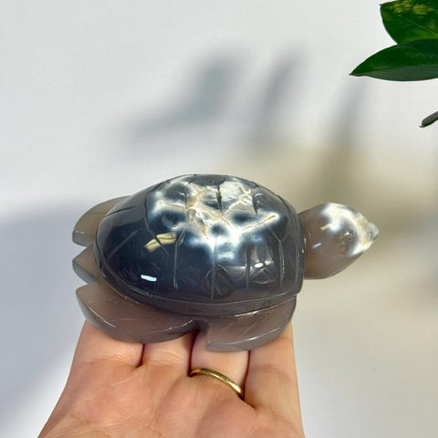 Orca Agate Turtle 111 8 - Kenna's Crystals from TikTok