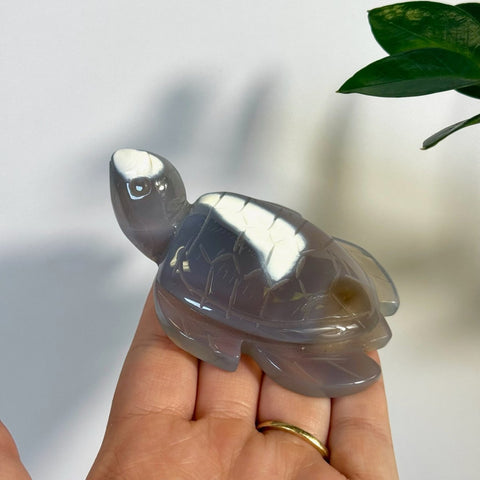 Orca Agate Turtle 55 1 - Kenna's Crystals from TikTok