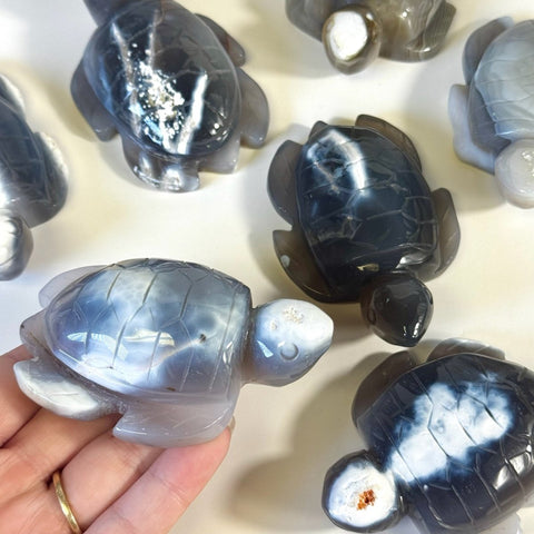 Orca Agate Turtle 66 2 - Kenna's Crystals from TikTok