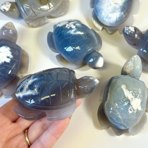 Orca Agate Turtle 77 3 - Kenna's Crystals from TikTok