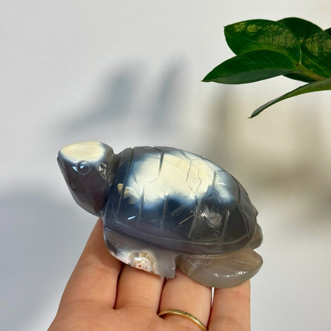 Orca Agate Turtle 99 5 - Kenna's Crystals from TikTok