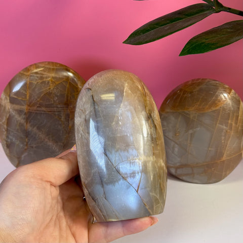 Hand holding a polished peach moonstone free form with iridescent sheen, two more in background.