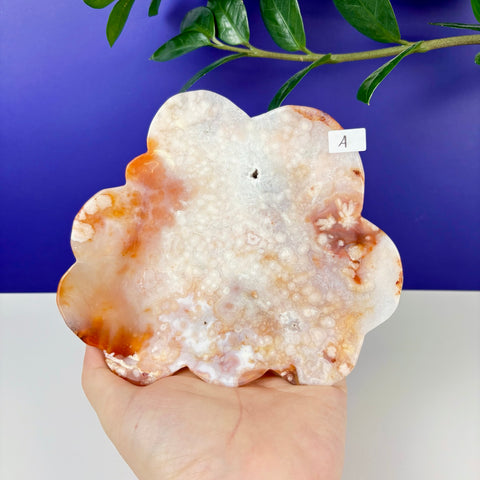 Peach Princess Plate - Kenna's Crystals