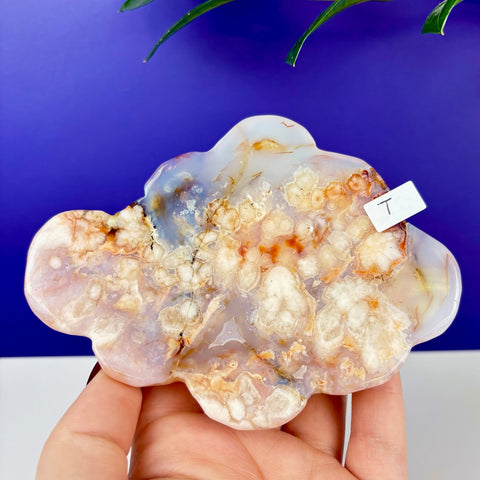 Peach Princess Plate - Kenna's Crystals