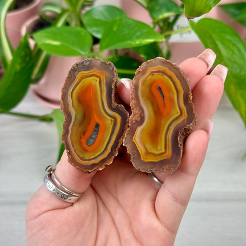 Perfect Malawi Agate Pair C1 40 - Kenna's Crystals from TikTok