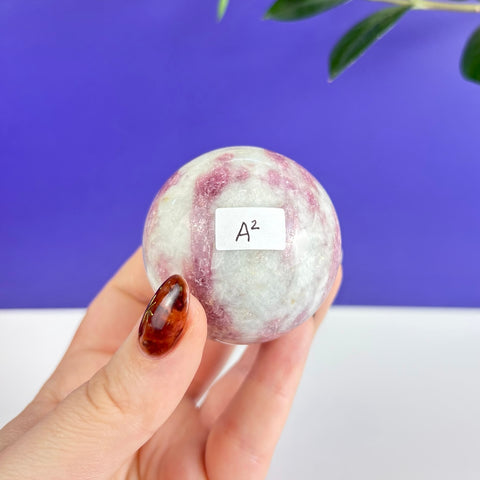 Polished pink and white tourmaline sphere held in hand against a blue background.