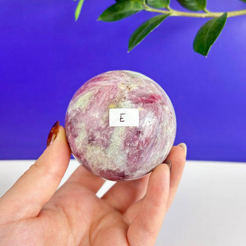 Polished pink and white tourmaline sphere held in hand against a blue background with a small letter E label.
