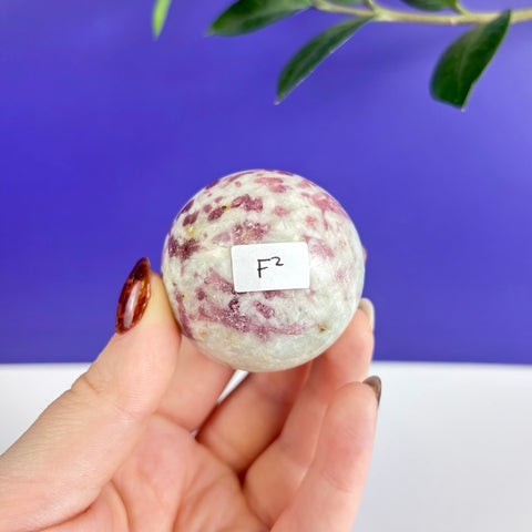 Polished pink tourmaline sphere with white matrix held in a hand against a blue background.