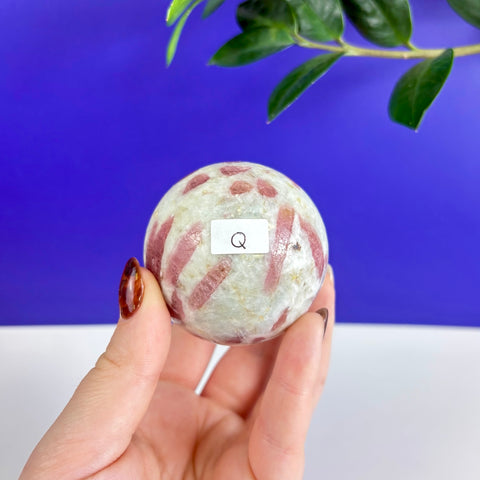Hand holding a polished pink tourmaline sphere with white matrix inclusions against a blue and white background.