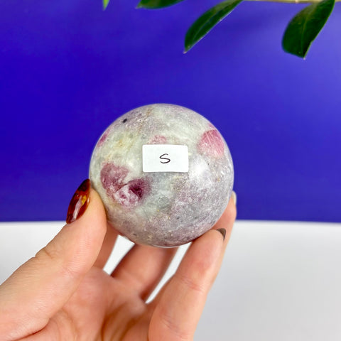 Small polished pink tourmaline sphere with vibrant magenta inclusions held in a hand against a blue background.