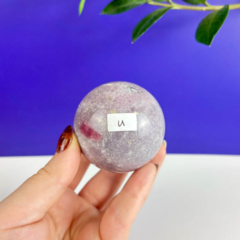 Hand holding a polished, dusty pink tourmaline sphere with a small white label against a blue background.