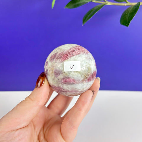 Hand holding a polished pink and white tourmaline crystal sphere against a purple and white background.