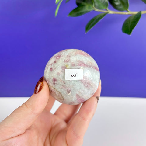 Hand holding a polished pink and white tourmaline crystal sphere with a small letter W label on a blue background.