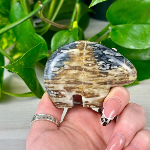 Picasso Jasper Bear Medium 1 - Kenna's Crystals from TikTok